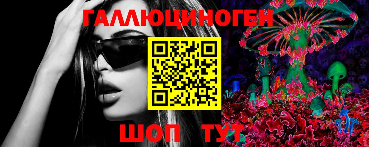Псилоцибиновые грибы Psilocybe  Вход с VPN  Новоуральск 